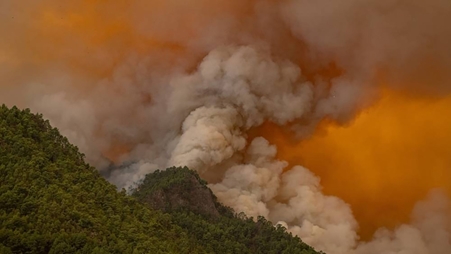 أغلقت طرقاً وأخلت قرى.. إسبانيا تكافح حرائق الغابات في تينيريفي