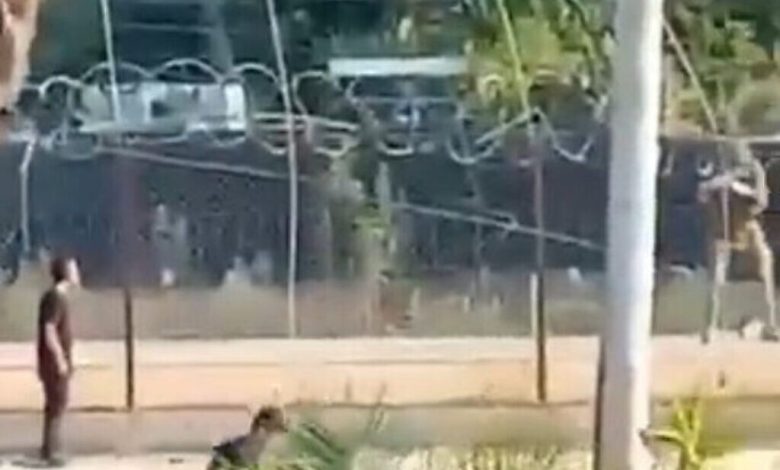 الشرطة العسكرية تحقق في مقطع فيديو يظهر قيام جندي بإطلاق النار على فلسطيني أعزل
