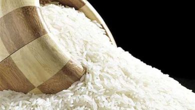 «الصحة» تحذر من الإسراف في تناول الأرز والمكرونة: أضرارها بالغة