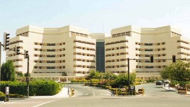 بتكلفة 91 مليون ريال.. جامعة الملك عبدالعزيز تتوج خطتها الاستراتيجية بإطلاق 3 مشاريع تعليمية