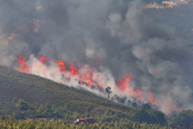 تطويق حريق غابة مغراوة في إقليم تازة بنسبة 65 في المائة وفق مسؤول في المياه والغابات
