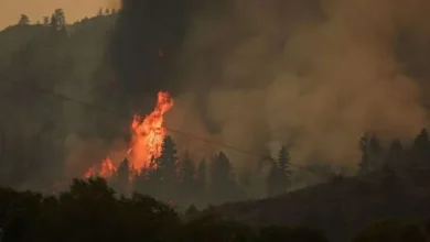 كندا تعلن حالة الطوارئ في بريتيش كولومبيا غرب البلاد بسبب الحرائق