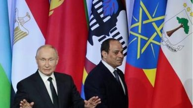 مصر تكشف سبب طلبها الانضمام لمجموعة "بريكس"