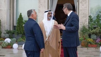 اجتماع ثلاثي.. ولي عهد أبوظبي يلتقي الرئيس الصربي ورئيس وزراء المجر