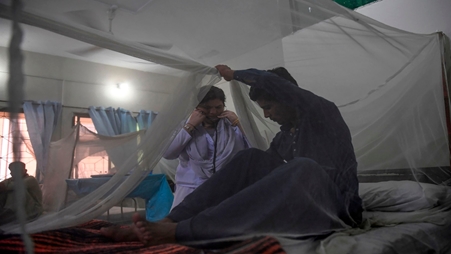 باكستان: قفزة في عدد إصابات حمى الضنك بإقليم البنجاب خلال 24 ساعة