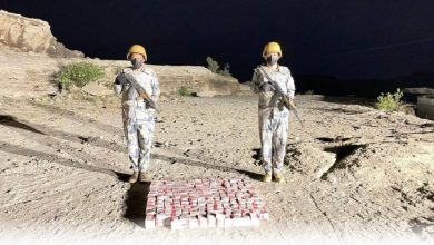عسير: رجال «الحدود» يحبطون تهريب 29,700 قرص خاضع لـ«التداول الطبي» - أخبار السعودية