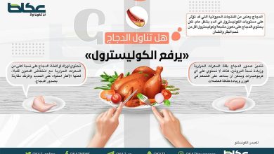 هل تناول الدجاج يرفع الكوليسترول؟ - أخبار السعودية