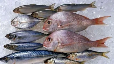 تراجع جديد في أسعار الأسماك اليوم الثلاثاء 3-10-2023 بالأسواق