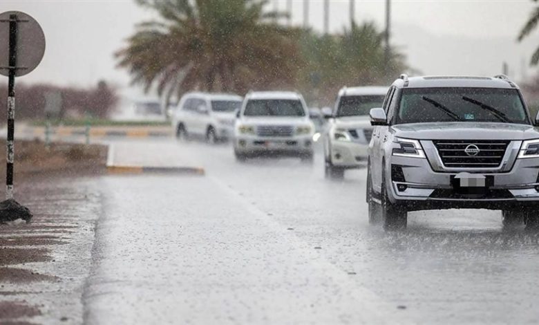 شاهد.. أمطار الخير تهطل على الإمارات