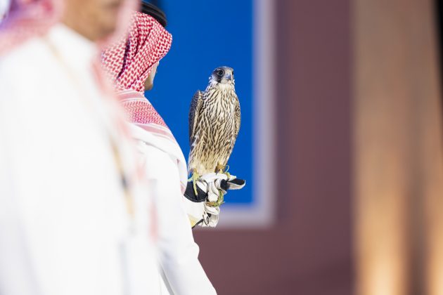 مبيعات مزاد نادي الصقور السعودي تتجاوز حاجز المليوني ريال مع ختام الليلة الـ 13