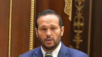محمد حلاوة: رسالة الرئيس بأن مصر دولة قوية لا تمس مفهومة للجميع.. ودعم الصناعة الوطنية أمل التقدم