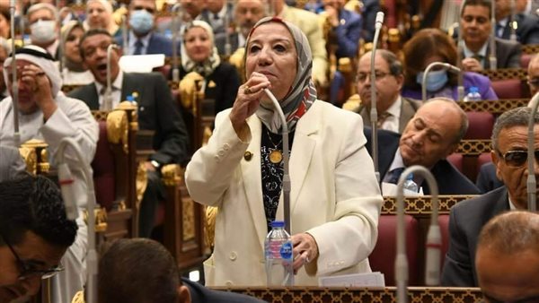 مصر تحتاج السيسي وأراهن علي وعي المصريين لأهميتهم في حماية النظام الديمقراطي
