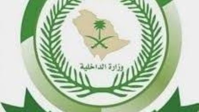 «الأفواج الأمنية» بجازان تحبط تهريب 137,700 قرص خاضع لتنظيم التداول الطبي - أخبار السعودية