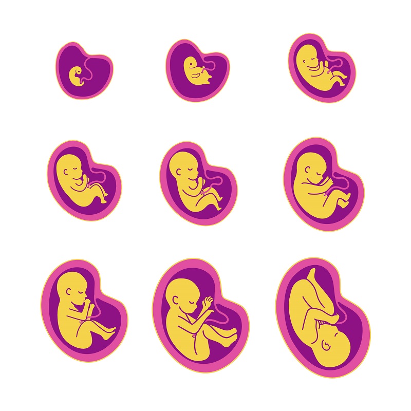 تختلف آلام تجربة الولادة من حامل إلى أخرى، تبعاً للحالة النفسية قبل الولادة وقدرتها على التحمل (المصدر: freepick)