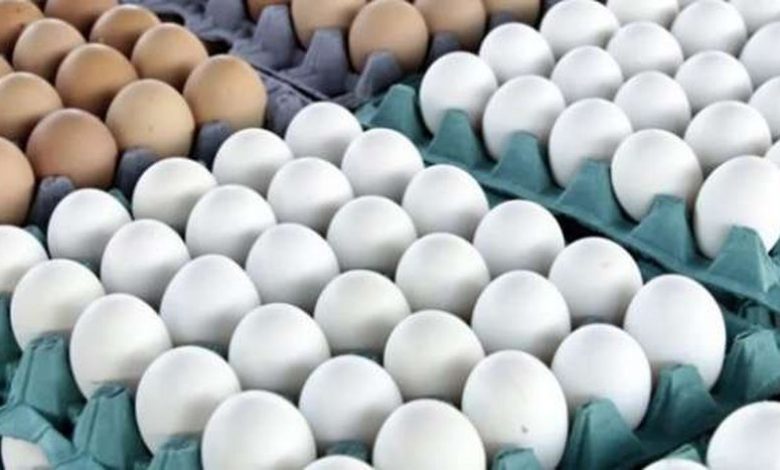 استقرار أسعار البيض اليوم الاثنين في الأسواق