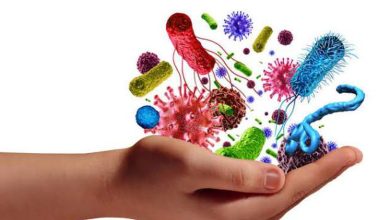 «صحة الشرقية» توضح فوائد البكتيريا النافعة وكيفية الحصول عليها.. تقوي المناعة