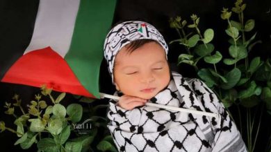 مصورة لبنانية تدعم أطفال غزة بـ«فوتوسيشن» لرضيعة.. كوفية وعلم فلسطين (فيديو)