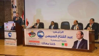 «مهنيين مستقبل وطن» تجتمع في البحيرة لدعم المرشح الرئاسي عبدالفتاح السيسي
