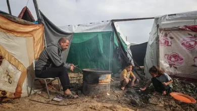 الغداء العالمي: نصف سكان قطاع غزة يتضورون جوعاً