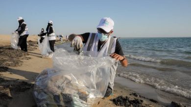 انطلاق الحملة التطوعية لحماية البيئة البحرية بجدة - أخبار السعودية