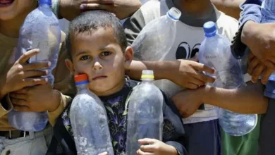 دراسة: الجوع في غزة 4 أضعاف المستوى العالمي.. ومخاوف من مجاعة شاملة في فبراير