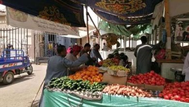 أسعار الخضروات والفاكهة في الأقصر اليوم السبت