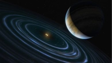 اكتشاف 85 كوكبًا شبيهًا بالأرض قد تكون صالحة للحياة...