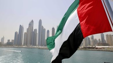 الإمارات تعرب عن قلقها البالغ من تداعيات الاعتداءات على الملاحة البحرية في منطقة باب المندب والبحر الأحمر