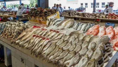 سعر السمك البلطي يتراجع بقيمة 5 جنيهات في الأسواق.. اعرف التفاصيل
