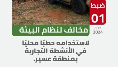 «الأمن البيئي»: ضبط «مخالف» استخدم حطباً محليّاً في الأنشطة التجارية بعسير - أخبار السعودية