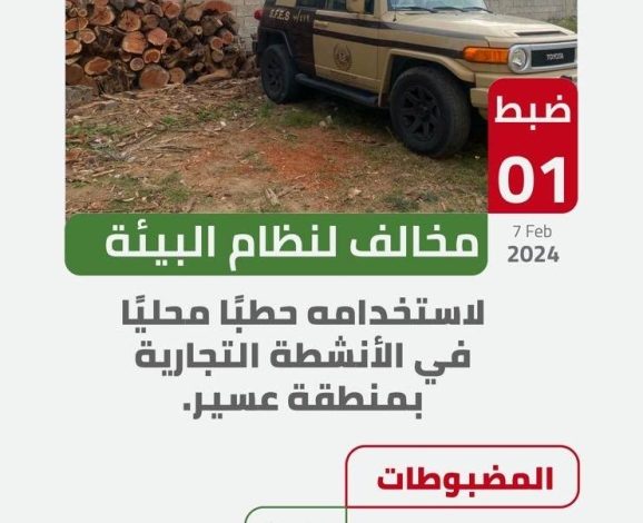 «الأمن البيئي»: ضبط «مخالف» استخدم حطباً محليّاً في الأنشطة التجارية بعسير - أخبار السعودية