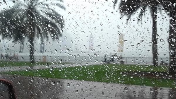 عاجل.. أمطار مستمرة بالإسكندرية منذ الفجر.. شاهد