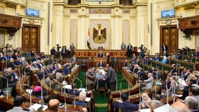 «النواب» ينعى البرلمانية أمنية رجب بعد وفاتها في حادث بالمنيا