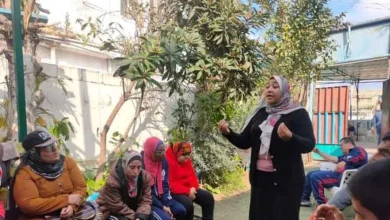 شباب الإسكندرية: مبادرة لتوعية طلائع أندية المبتكرين علميا بأهمية البرمجة