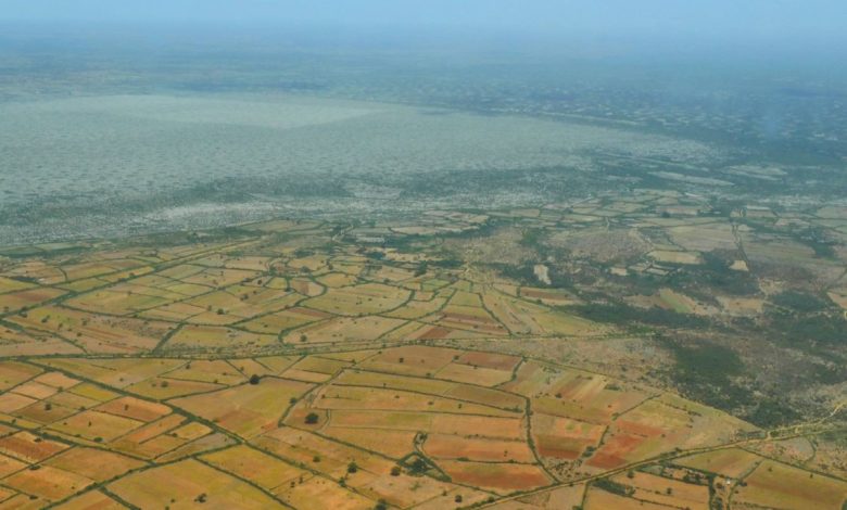ظاهرة «النينيو» المناخية تهدد مدغشقر بالجوع والجفاف