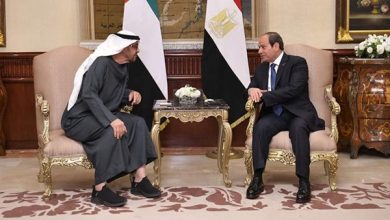 مصر والإمارات تشدّدان على ضرورة تفعيل حل الدولتين باعتباره سبيل تحقيق العدل والأمن والاستقرار بالمنطقة