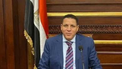 عضو بمجلس الشيوخ: «المتحدة» أعادت المجد للدراما المصرية